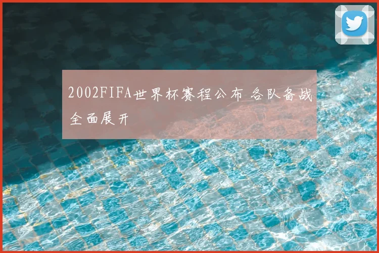 2002FIFA世界杯赛程公布 各队备战全面展开