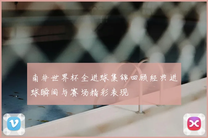 南非世界杯全进球集锦回顾经典进球瞬间与赛场精彩表现