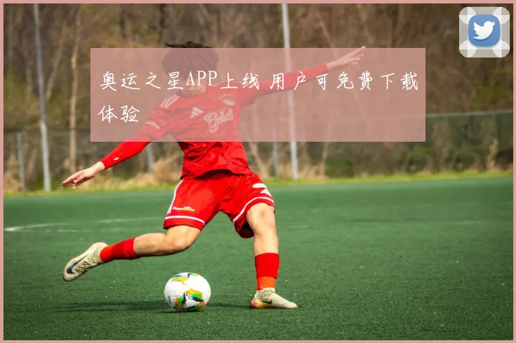奥运之星APP上线 用户可免费下载体验